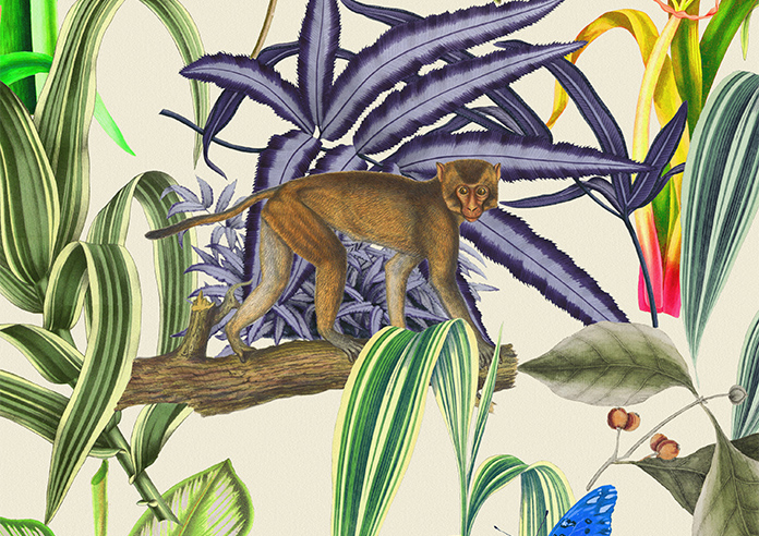 Barbados, Jungle - Motorised Roman Blind - Image 7